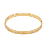 Aigner Fashion Bangle M AJ83117
