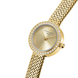 Rosefield Mini Small Edit Light Champagne Gold Watch MCGMG-M03 - Image 2
