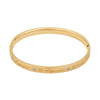 Aigner Fashion Bangle M AJ83117