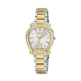 Aigner Pavia Watch for Women ARWLG2200109