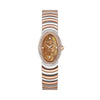 Cerruti 1881 Brown Dial Stainless Steel Watch For Women CIWLG0072510