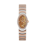 Cerruti 1881 Brown Dial Stainless Steel Watch For Women CIWLG0072510