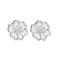 SilverWhite1