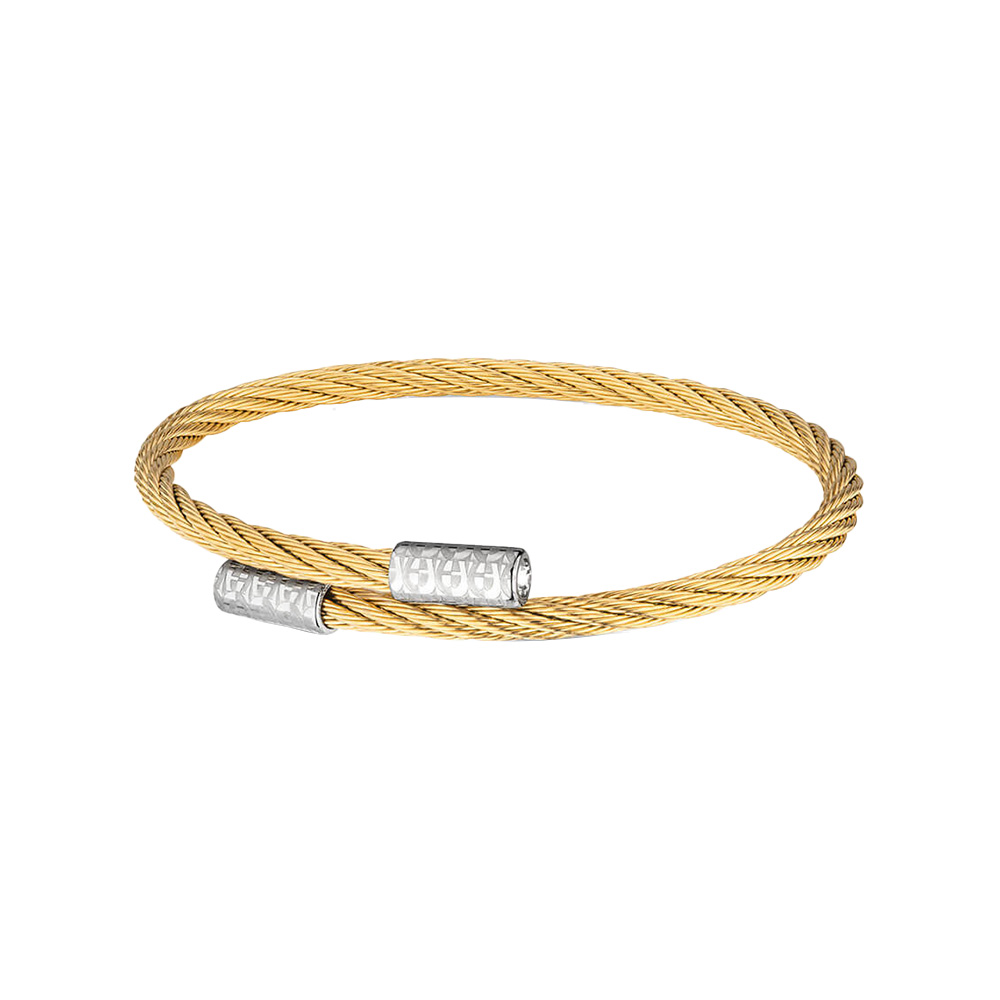 Picture of Aigner Livia Bangle for Women ARJLG2198304