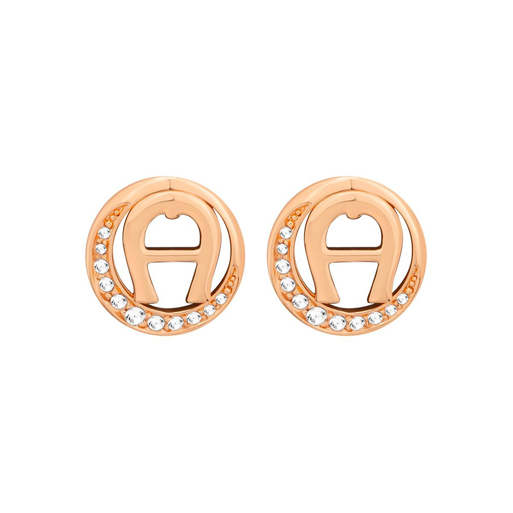 Picture of Aigner Fia Earring for Women ARJLE0001503