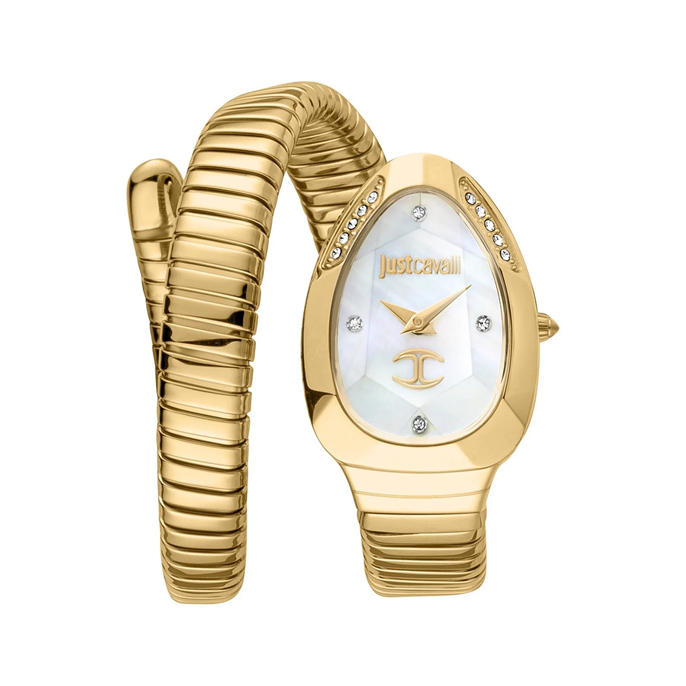 Picture of Just Cavalli Ladies Just Glam Evo 4 Watch JC1L229M