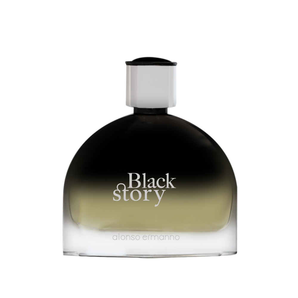 Picture of Alonso Ermanno Black Story EDP 100ml